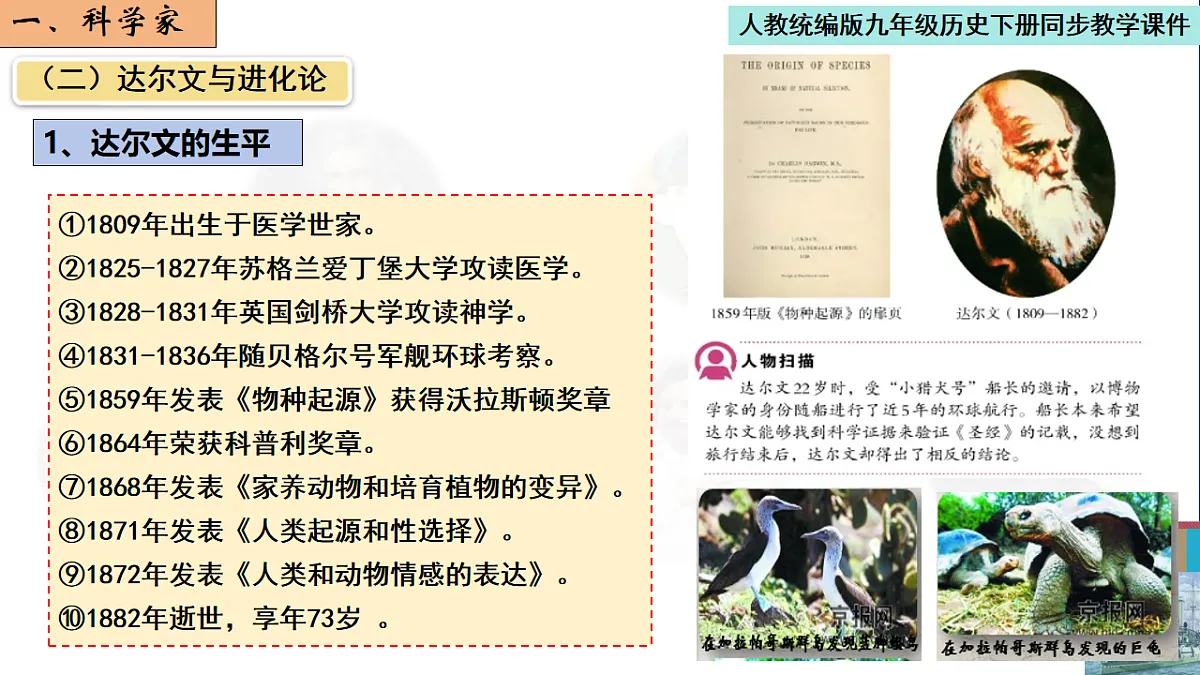 17656656第7页