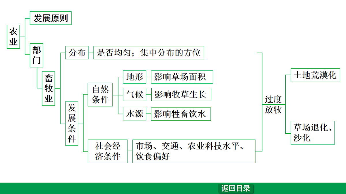 17657859第6页