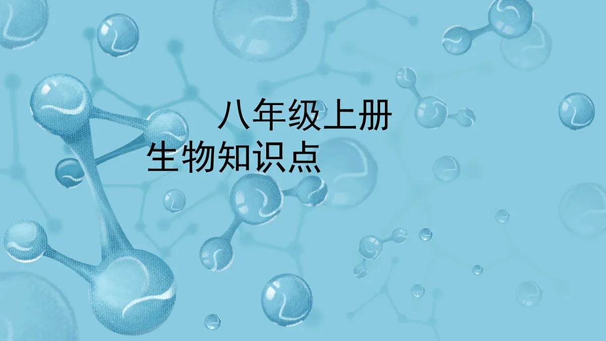 17658556第1页