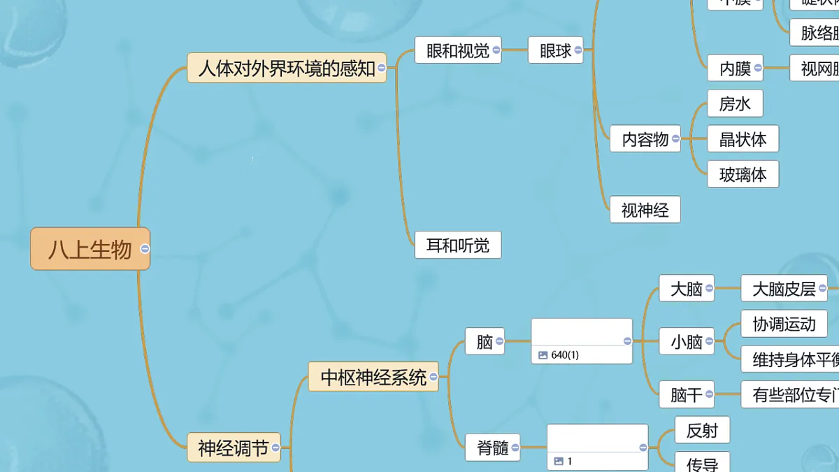 17658556第2页