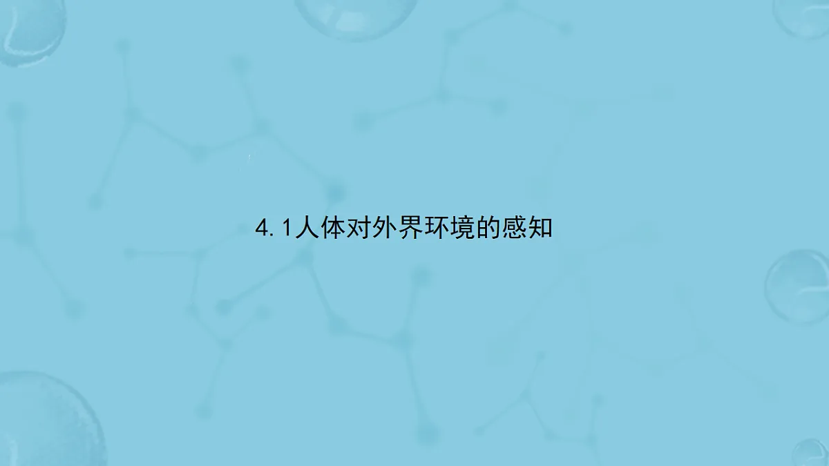 17658556第3页