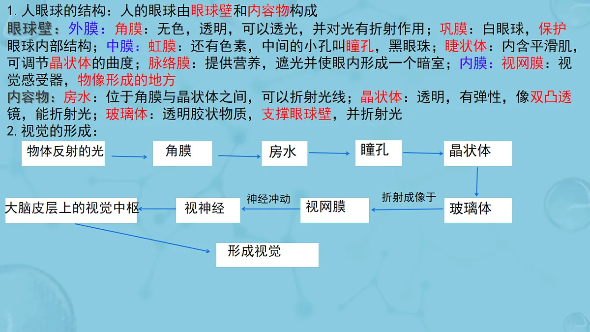 17658556第4页