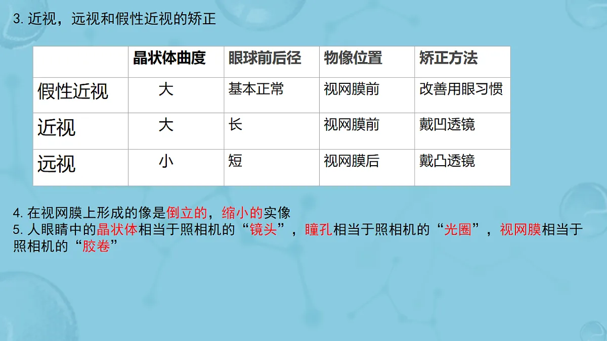 17658556第5页
