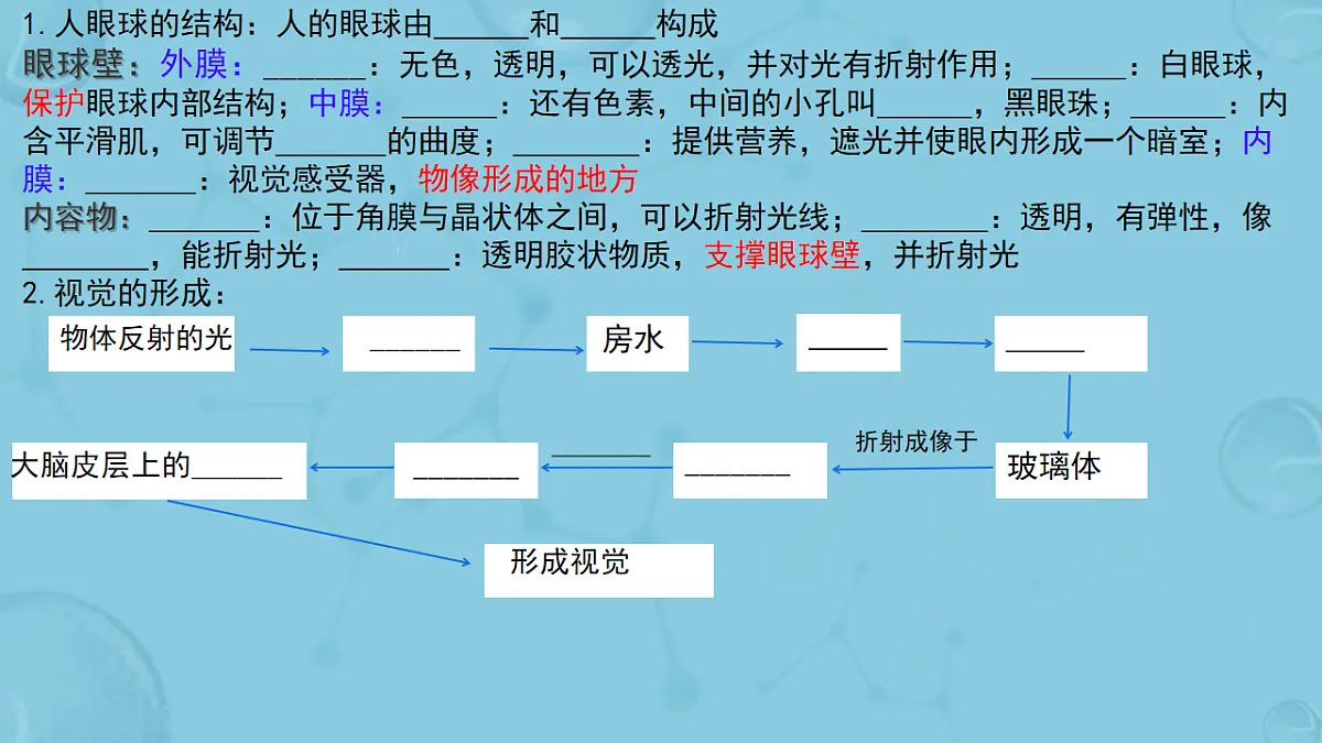17658556第6页