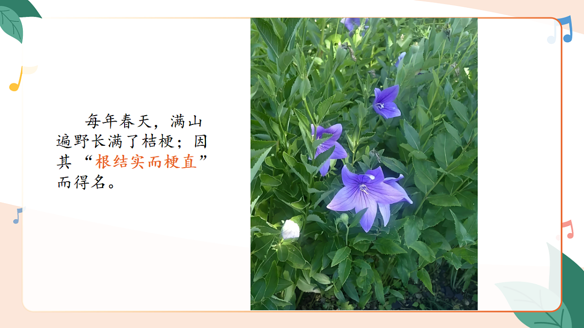 17659585第4页