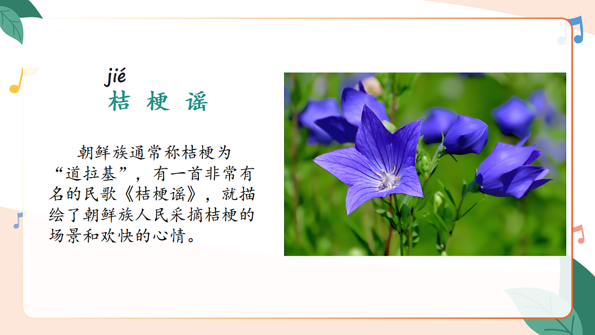 17659585第5页