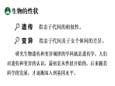 新人教版（2024）生物八年级下册 6.2.1 基因与生物性状的关系 （课件）