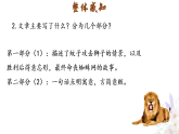 统编版七年级上册语文课件：第六单元22寓言四则蚊子和狮子