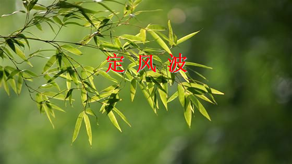 课外古诗词诵读第4页