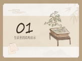 湘美版初中美术七年级下册 5.2结构之美 课件+教案