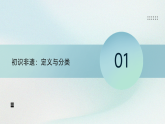 湘美版初中美术七年级上册走进非遗课件+教案