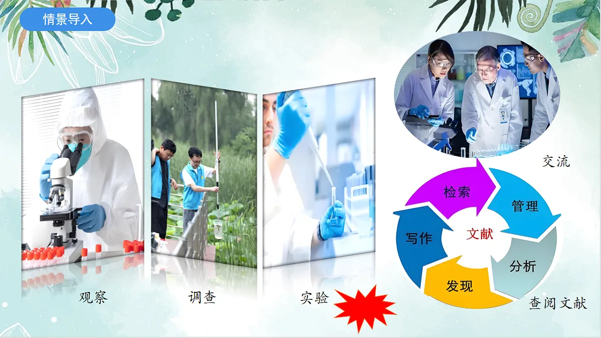 2025年秋北师大版生物七年级上册第一章 认识生物和生物学 1.1.3 生物学研究的基本方法（课件）第3页