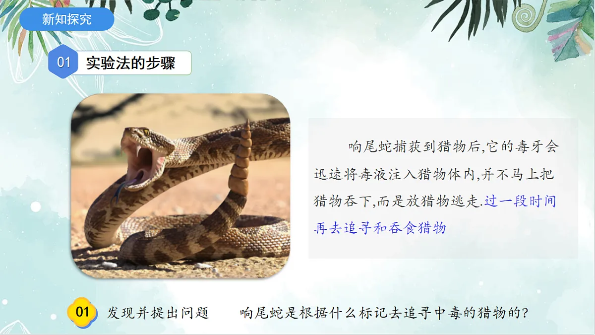 2025年秋北师大版生物七年级上册第一章 认识生物和生物学 1.1.3 生物学研究的基本方法（课件）第6页