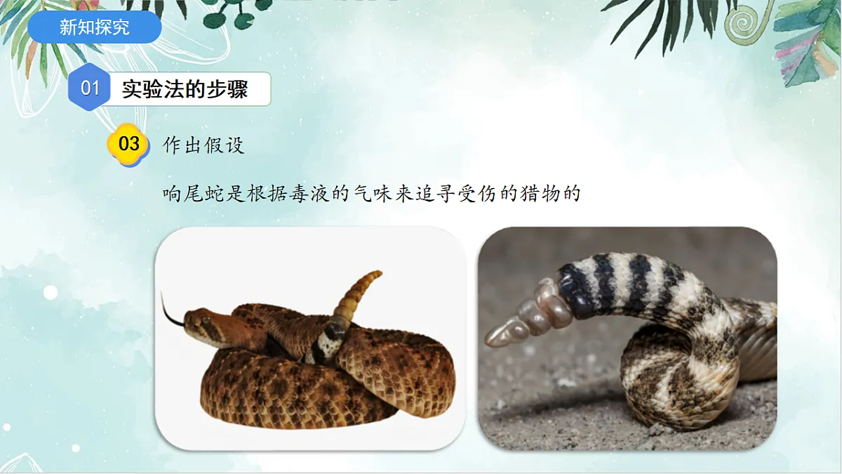 2025年秋北师大版生物七年级上册第一章 认识生物和生物学 1.1.3 生物学研究的基本方法（课件）第8页