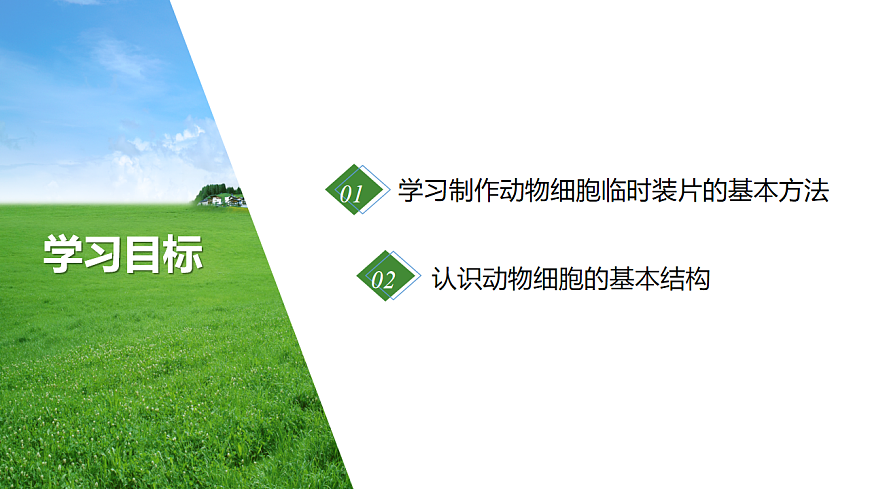 2025年秋北师大版生物七年级上册第2章 细胞 2.2.1  细胞的基本结构和功能（第2课时）课件第2页