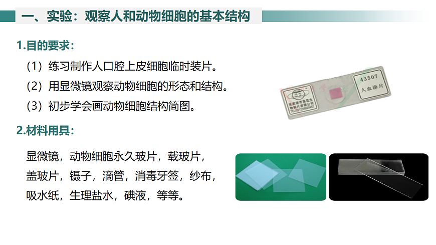 2025年秋北师大版生物七年级上册第2章 细胞 2.2.1  细胞的基本结构和功能（第2课时）课件第6页