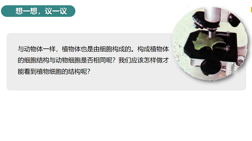 2025年秋北师大版生物七年级上册第2章 细胞 2.2.1 细胞的基本结构和功能（第3课时）课件第3页