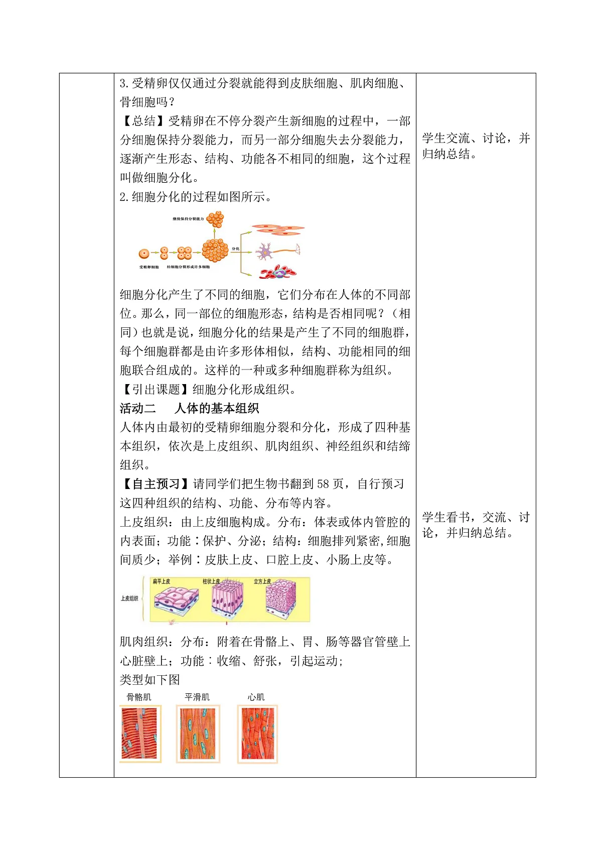 2025-2026学年北师大版生物七年级上册第2节 细胞分化形成组织 教案第2页