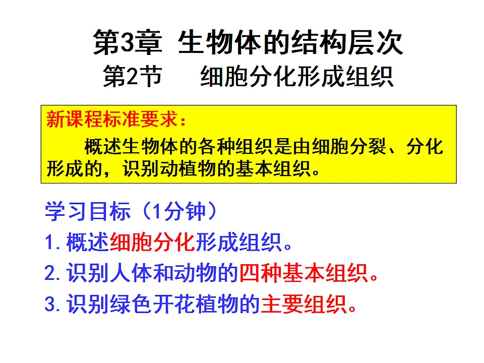 2025年秋北师大版生物七年级上册第3章 生物体的结构层次 2.3.2细胞分化形成组织课件第1页