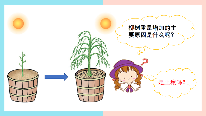 2025年秋北师大版生物七年级上册第4章 绿色开花植物的生活方式 第1节 光合作用第1课时课件第3页