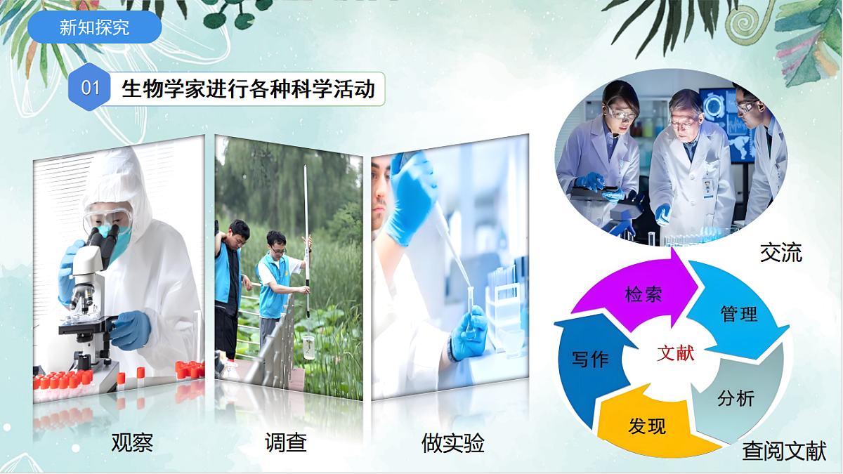 2025年秋北师大版生物七年级上册第一章 认识生物和生物学 1.1.2 生物学是探索生命的科学课件第4页
