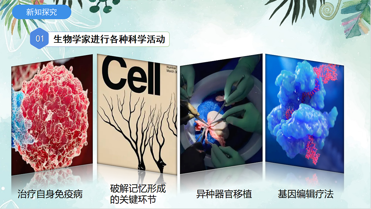 2025年秋北师大版生物七年级上册第一章 认识生物和生物学 1.1.2 生物学是探索生命的科学课件第5页