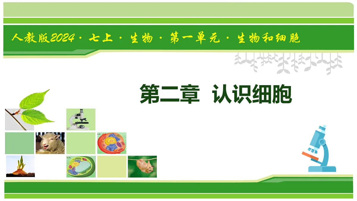 17665408第1页