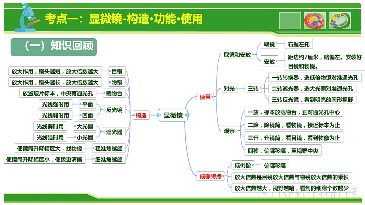 17665408第3页