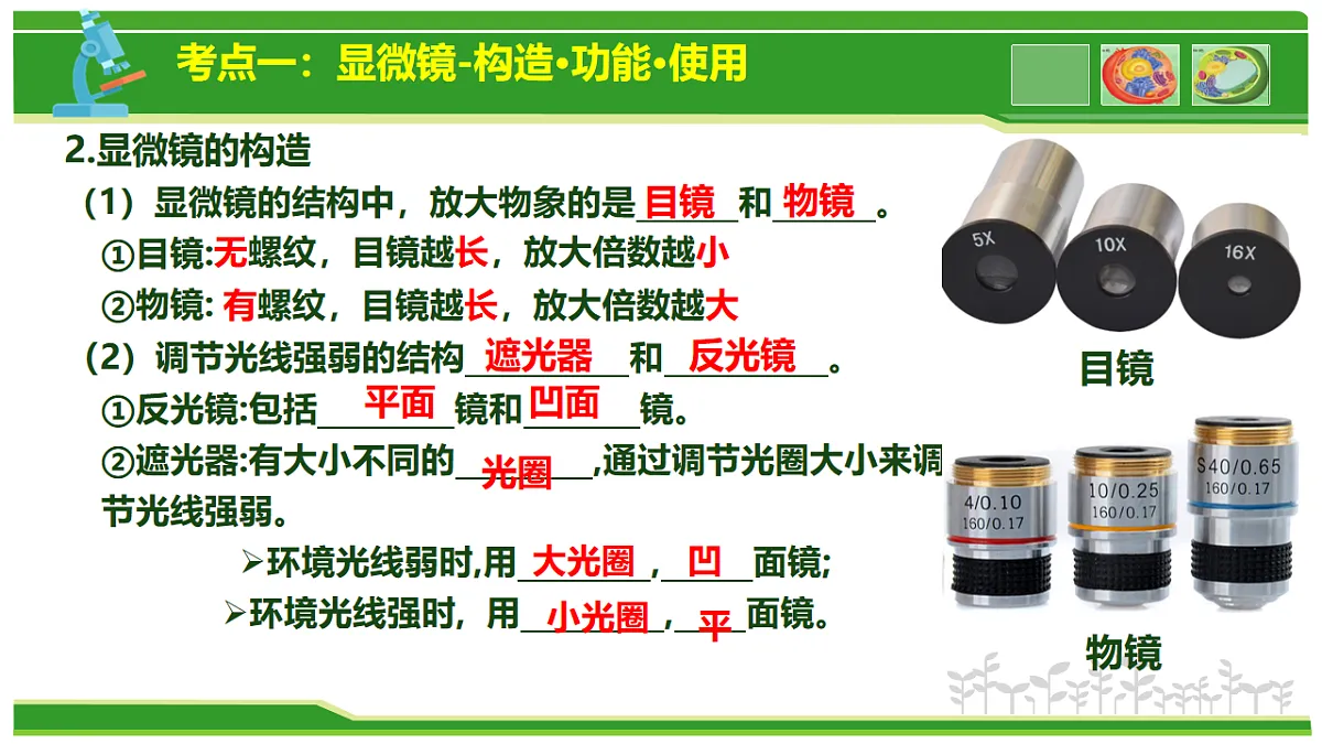 17665408第5页