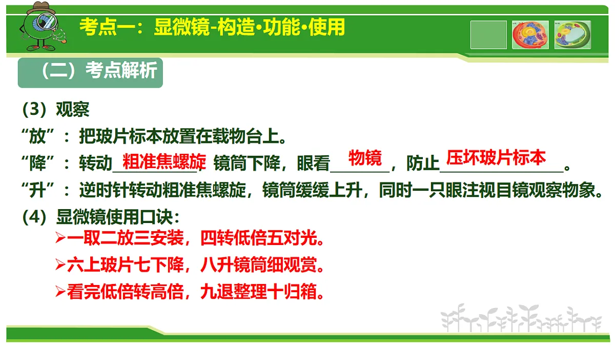 17665408第7页