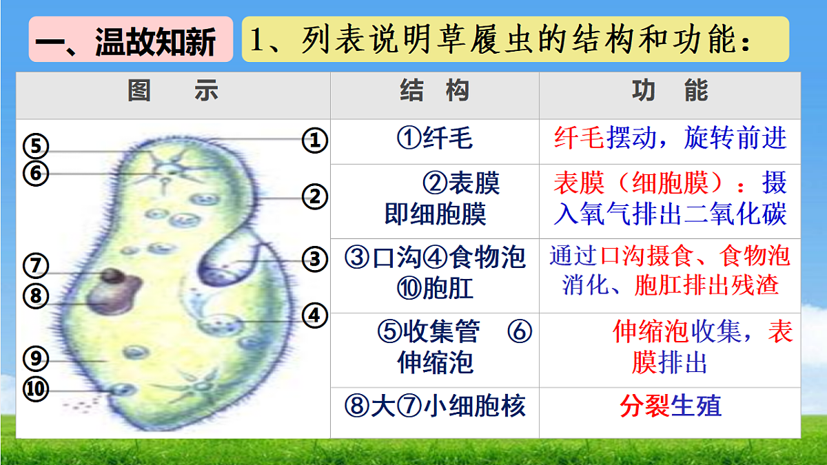 17665751第2页