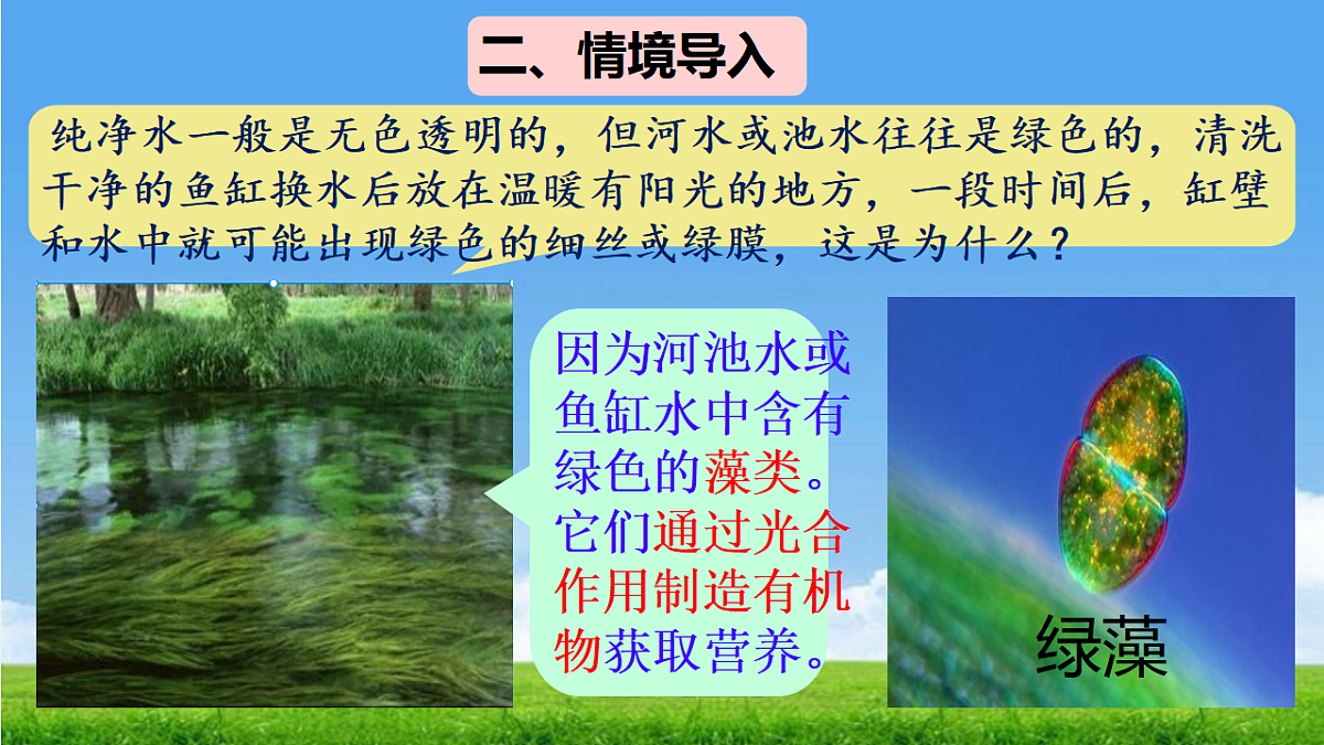 17665751第3页