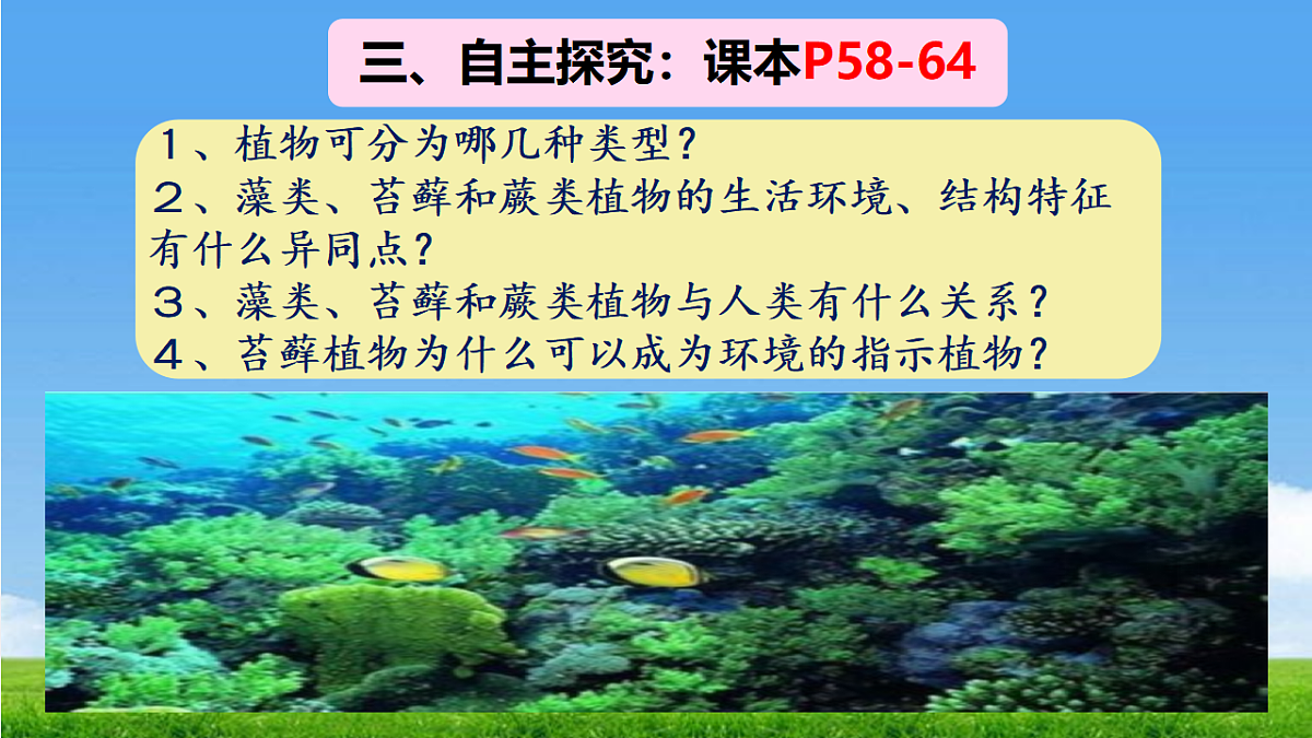 17665751第4页