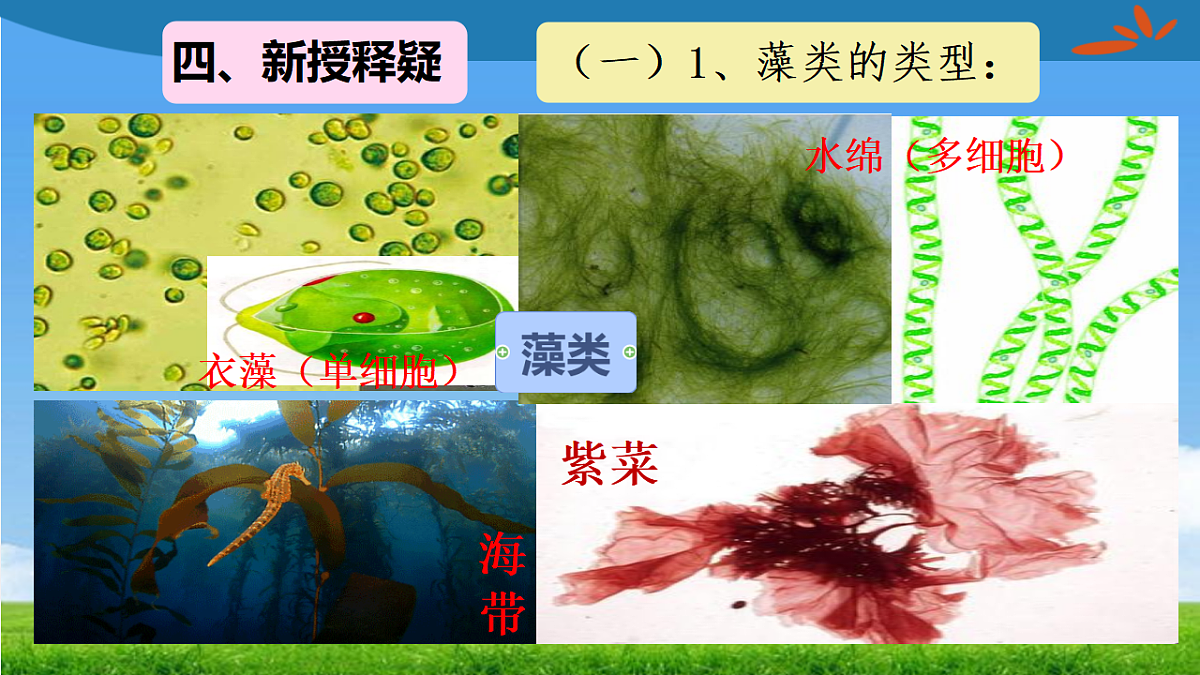 17665751第5页