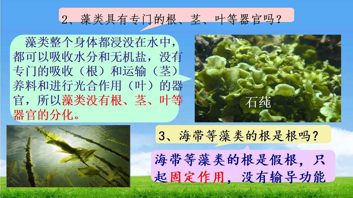17665751第6页