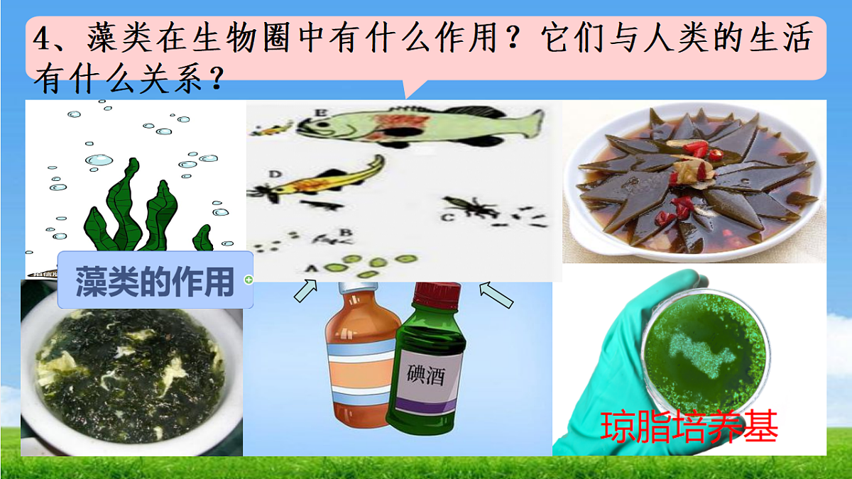 17665751第7页