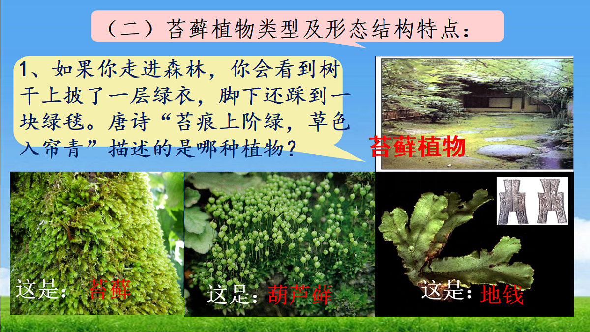 17665751第8页