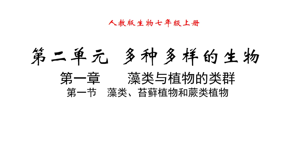 17665752第1页
