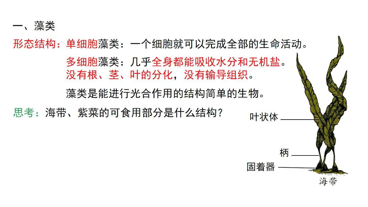 17665752第6页
