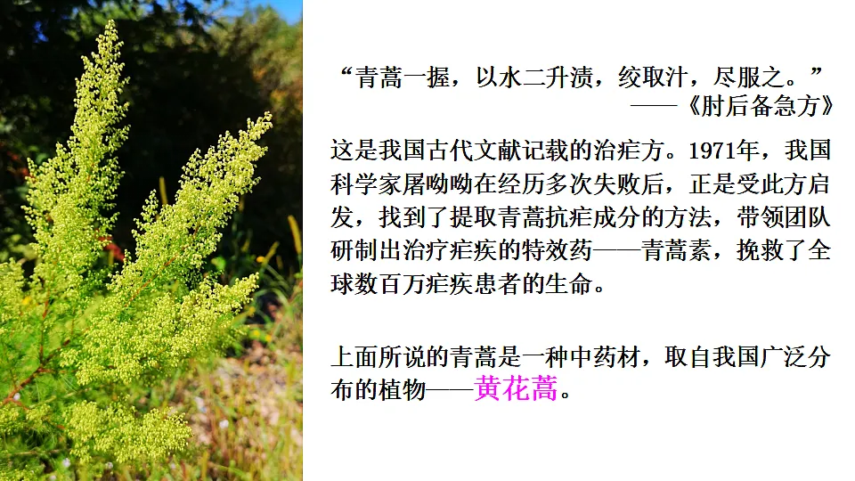 17665754第1页