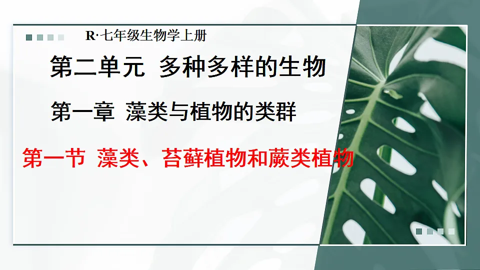17665754第3页