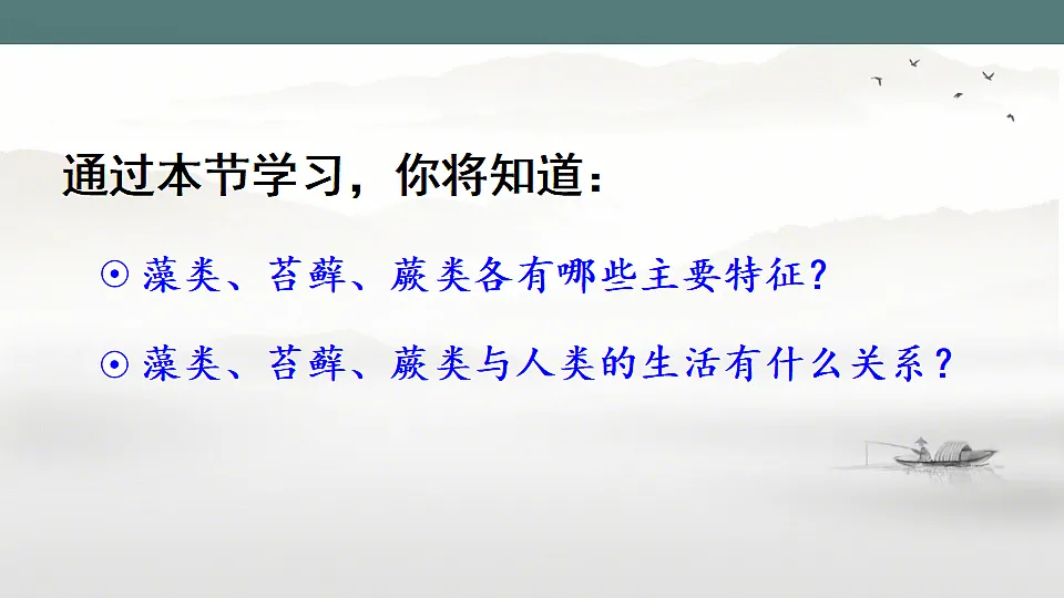 17665754第4页