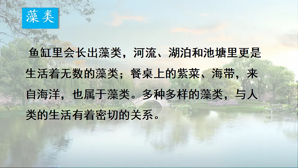 17665754第6页