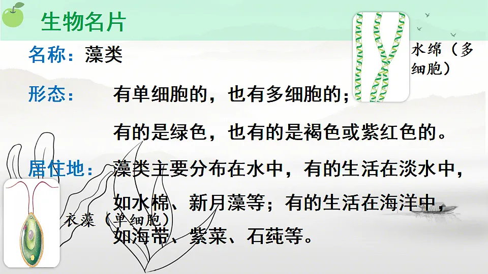17665754第7页