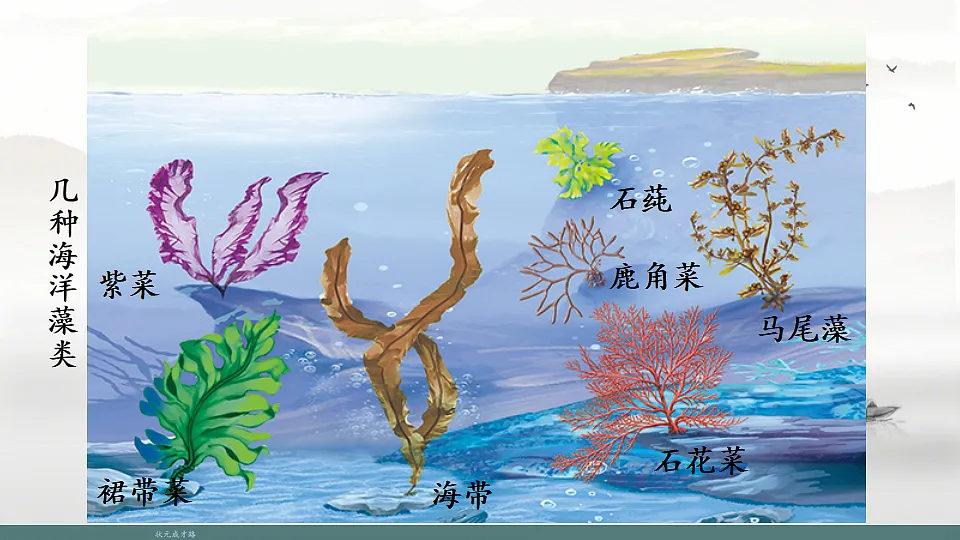 17665754第8页