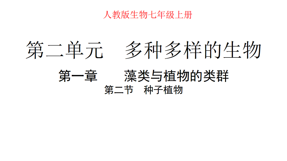 17665756第1页
