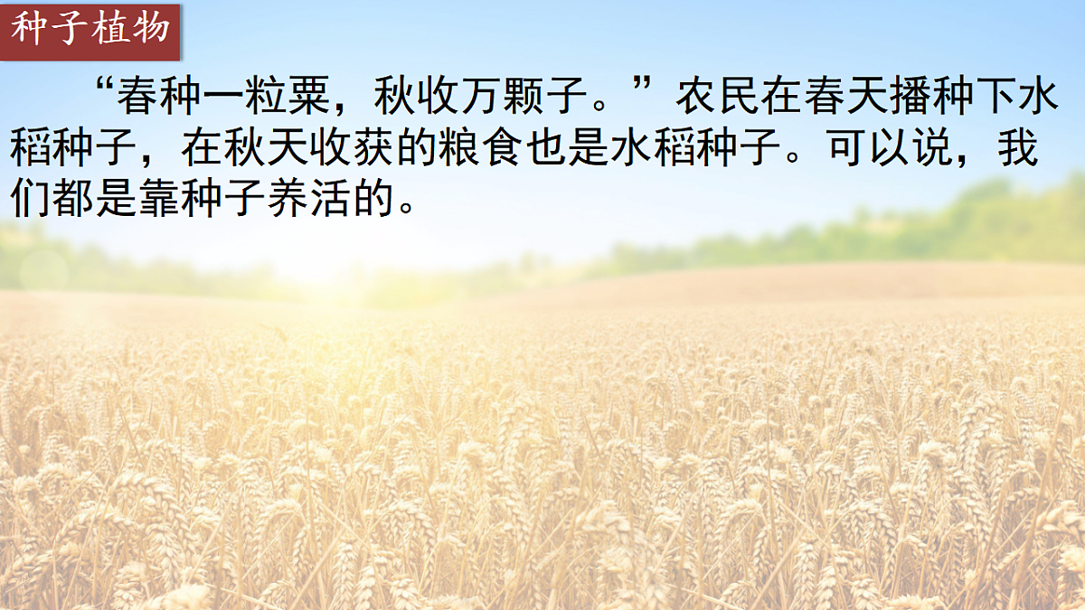 17665756第3页
