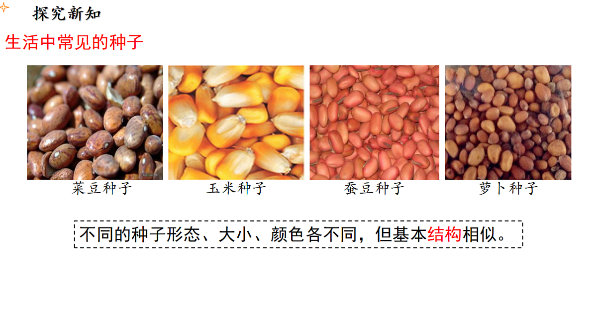 17665756第4页