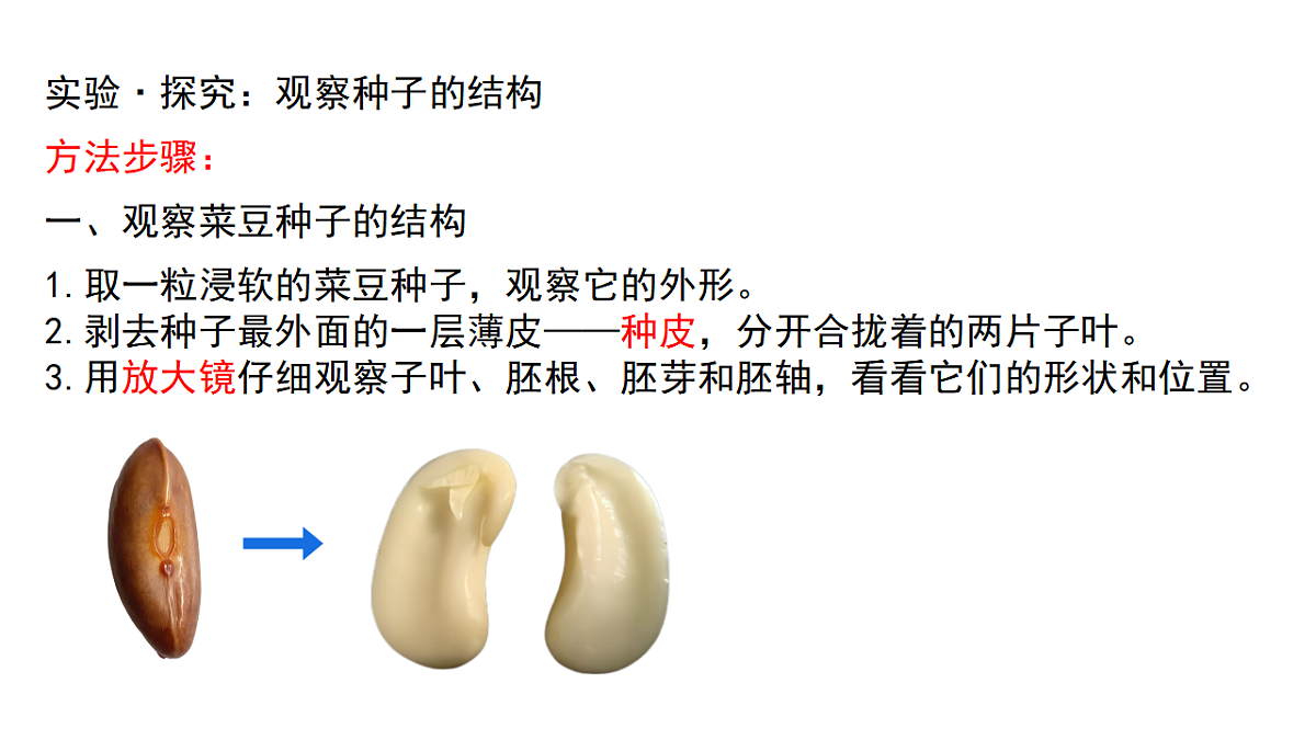 17665756第6页