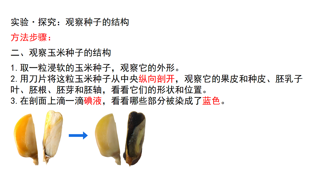 17665756第7页